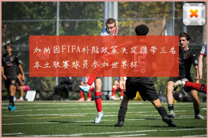 加纳因FIFA补贴政策决定携带三名本土联赛球员参加世界杯