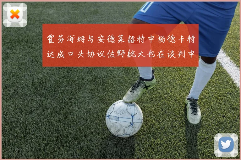 霍芬海姆与安德莱赫特中场德卡特达成口头协议佐野航大也在谈判中